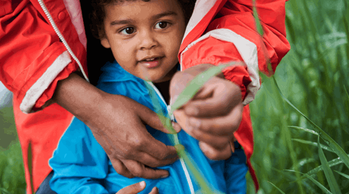 An adult in a red jacket holds a child who is holding a blade of grass, surrounded by green fields.